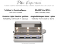 Fire Magic Echelon Diamond E1060i 48-Inch Built-In Gas Grill & Rotisserie with Magic View Window